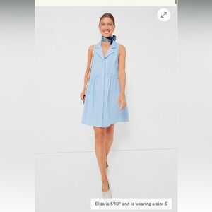 TUCKERNUCK

Oxford Blue Sleeveless Royal Shirt Dress